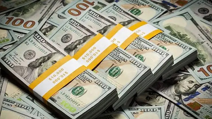 Konyalı İş Adamı Çöpe Atılan 70 Bin Dolarını Buldu