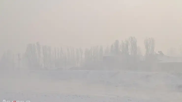 Ağrı'da Murat Nehri Buz Tuttu!