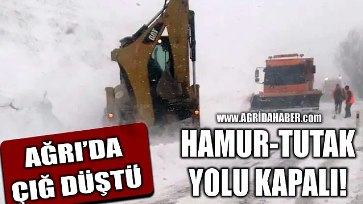 Ağrı'da çığ düştü Hamur-Tutak yolu kapandı