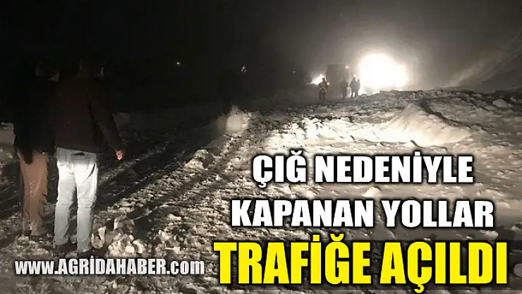 Ağrı'da düşen çığ nedeniyle kapanan yol trafiğe açıldı