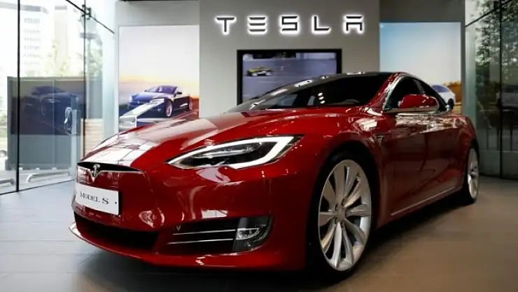 Tesla 92 Hektar Alandaki Ağaçları Kesiyor
