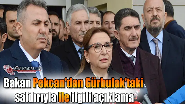 Bakan Pekcan'dan Gürbulak'taki saldırıyla ile ilgili açıklama