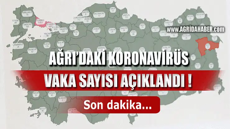 Ağrı'da Koronavirüs Vaka Sayısı Açıklandı! İşte İl İl Vaka Sayıları