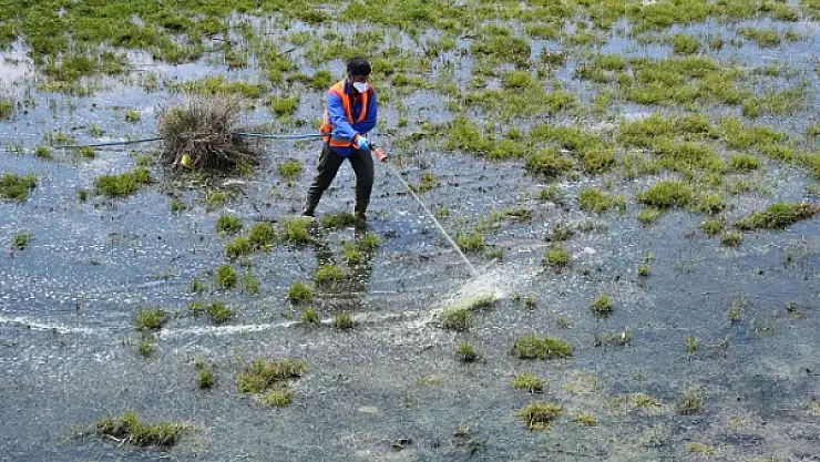 Tatvan Belediyesi Larva Üreme Noktalarını İlaçlıyor