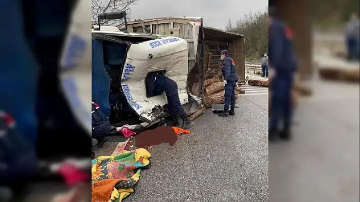 Yalova'da Tır Devrildi! Tomruklar Yola Saçıldı