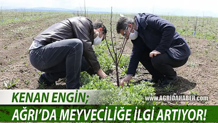 Ağrı Tarım İl Müdürü Kenan Engin Çiftçilerin meyveciliğe ilgisi artıyor
