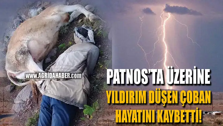 Patnos'da İneklerini Otlatan Çobanın Üstüne Yıldırım Düştü
