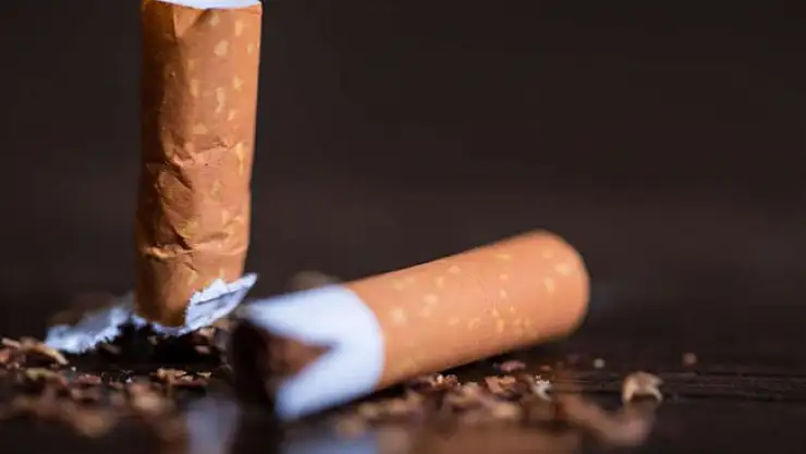 Türkiye 2019 yılında Sigaraya ne kadar harcadı?