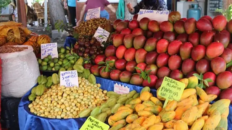 Antalya'da Yetişiyor! Fiyatı dudak uçuklattı