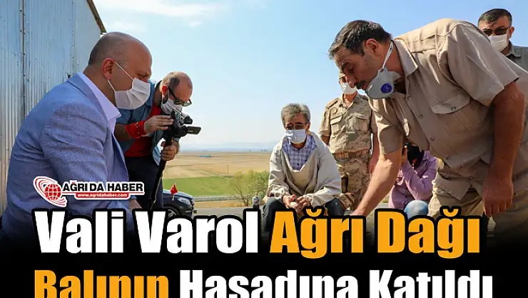 Vali Varol Ağrı Dağı Balının Hasadına Katıldı