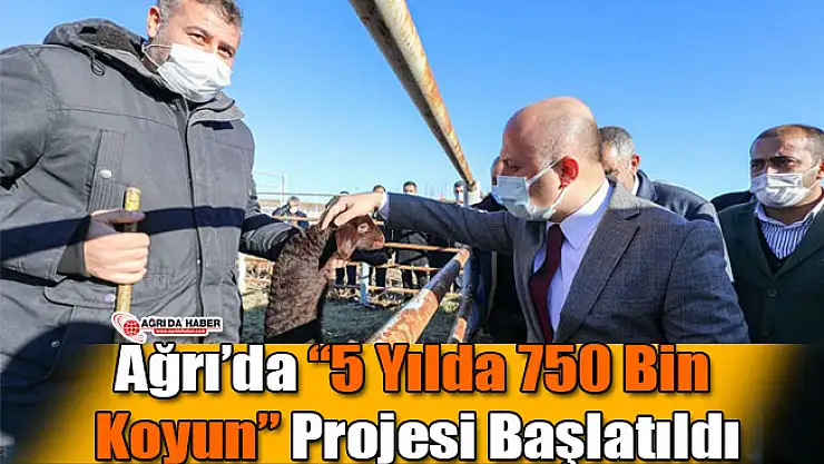 Ağrı'da '5 Yılda 750 Bin Koyun' Projesi Başlatıldı