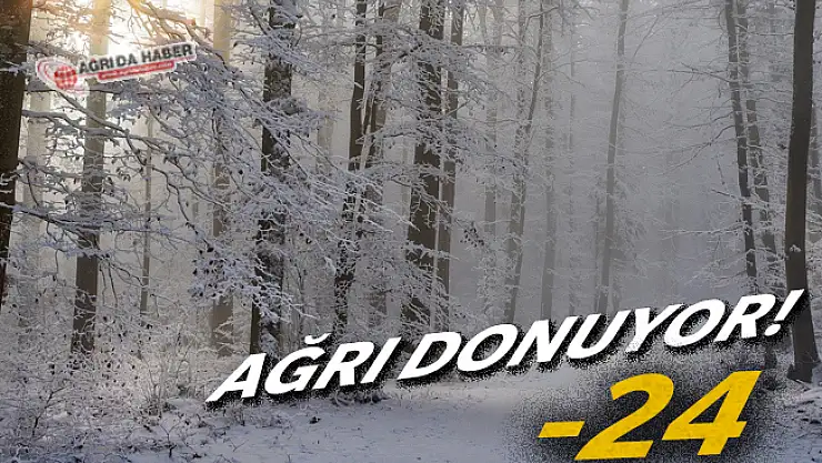 Ağrı'da termometreler gece sıfırın altında 24 dereceyi gösterdi
