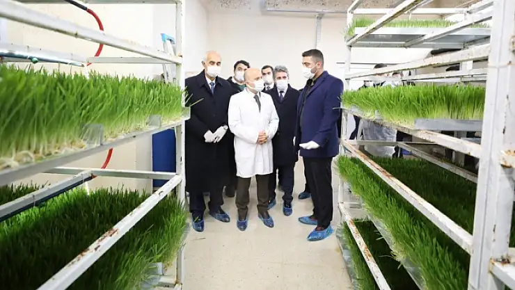 Ağrı'nın Yeni Markası Dünya Devlerine Kafa Tutuyor