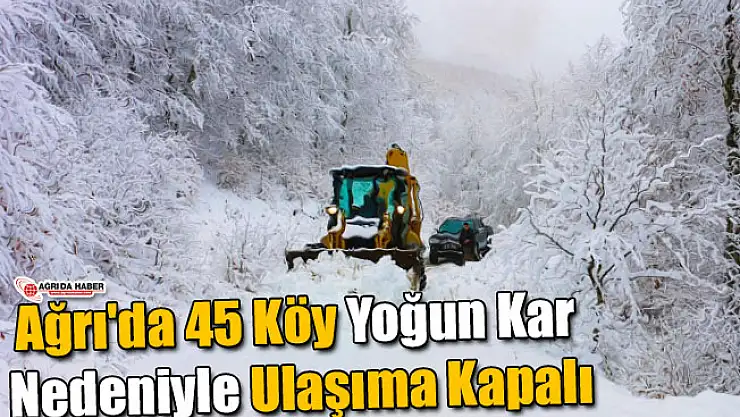 Ağrı'da 45 Köy Kar Nedeniyle Ulaşıma Kapalı