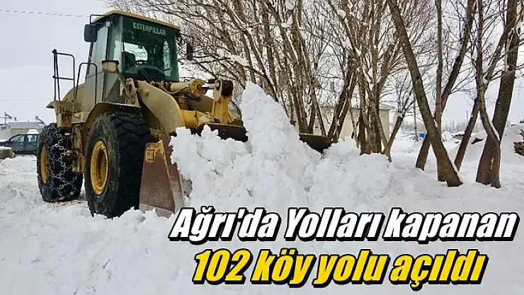 Ağrı'da Yolları kapanan 102 köy yolu açıldı