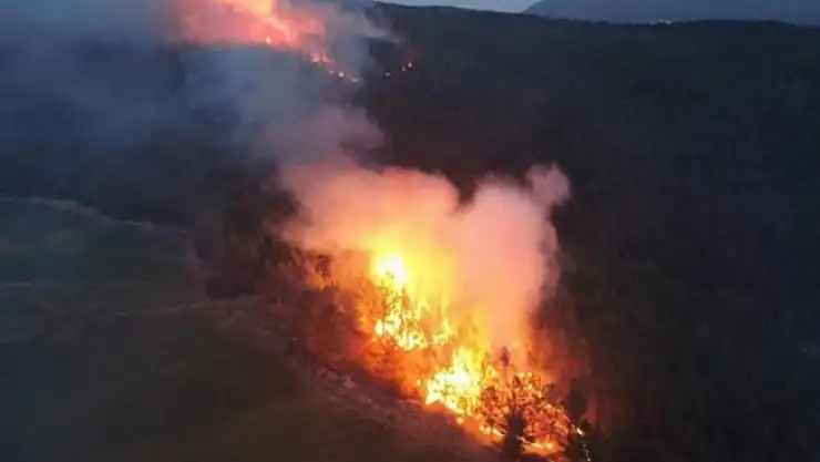 Muğla'daki Yangında Sabotaj İddiası
