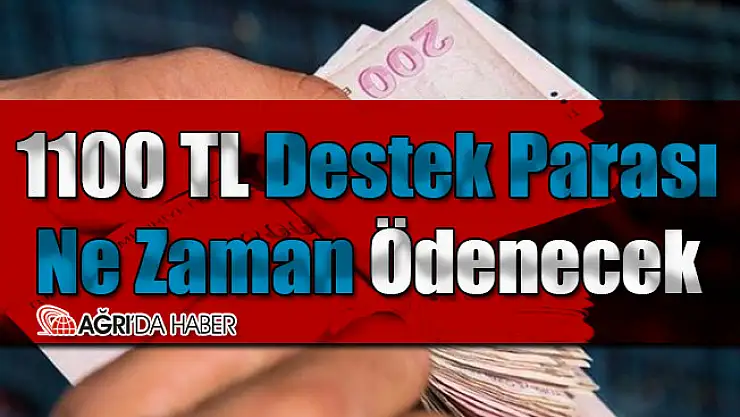 1100 TL Destek Parası Ne Zaman Ödenecek