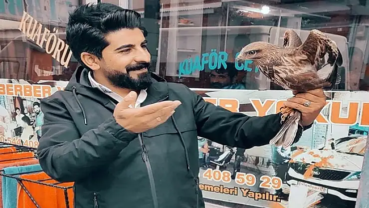 Diyadin'de yaralı şahin doğaya salındı