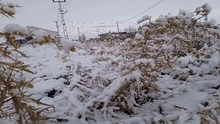 Ağrı Diyadin'de karı yağdı