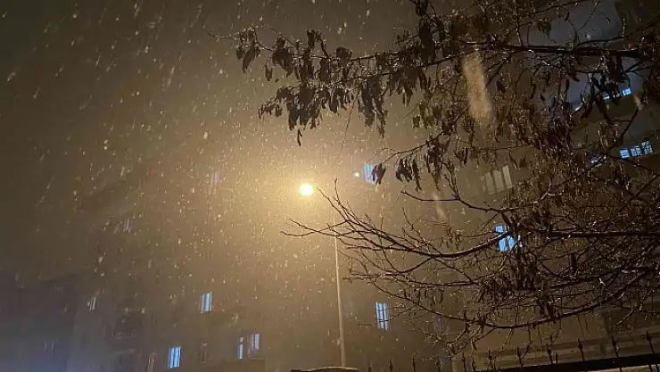 Ağrı'da kar yağışı etkili oldu