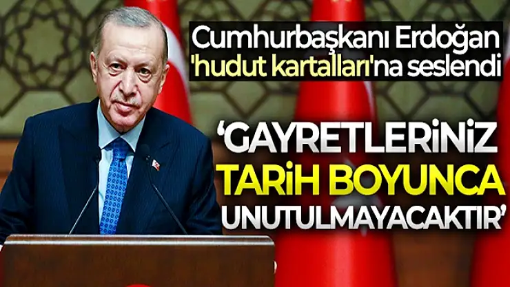 Başkan Erdoğan 'hudut kartalları'na seslendi