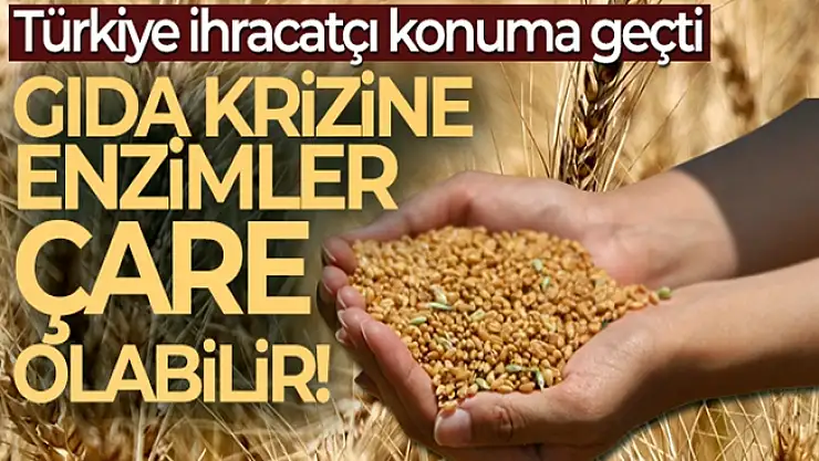 Türkiye 50 yıldır enzim ithal ettiği ülkelere ihracat yapıyor!