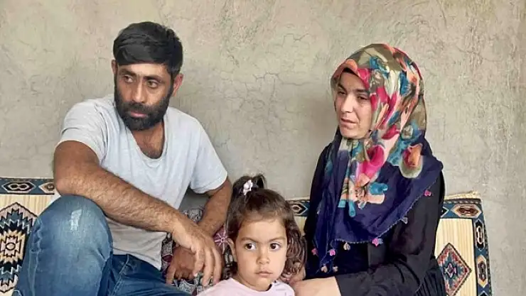 Başıboş Köpekler için Patnos Belediyesi Önlem Almadı!