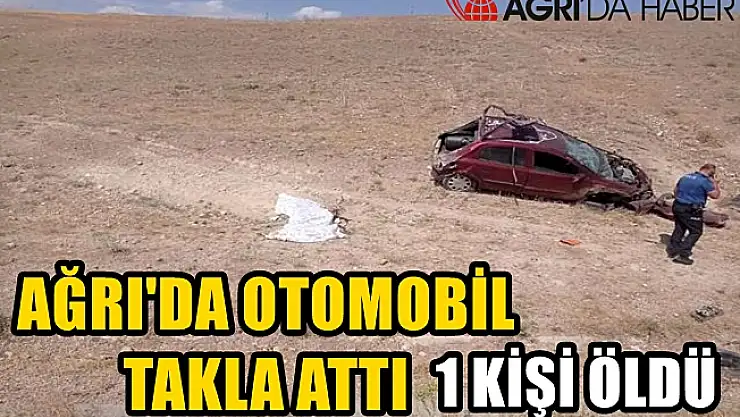 Ağrı'nın Taşlıçay ilçesinde otomobil takla attı: 1 ölü