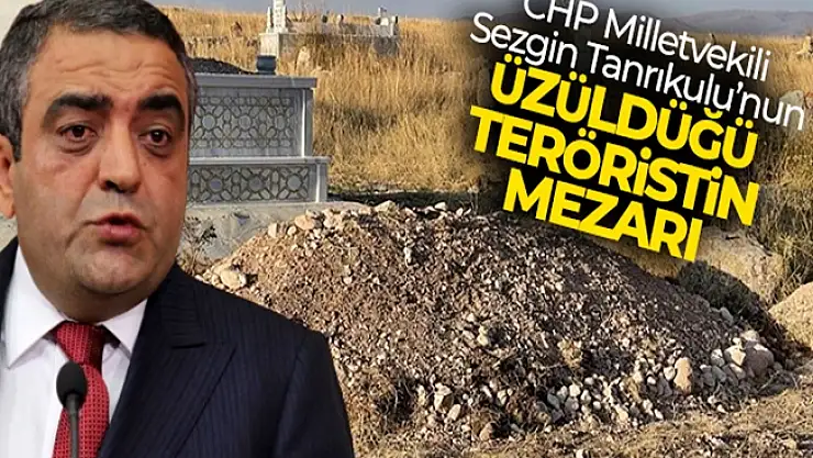 İşte CHP Milletvekili Sezgin Tanrıkulu'nun üzüldüğü teröristin mezarı