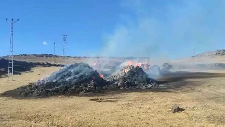 Taşlıçay'da ot yangını çıktı!