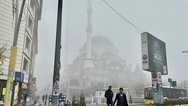 Ağrı'da yoğun sis vatandaşlara zor anlar yaşattı