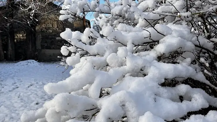 Ağrı'da 66 köy yolu kar nedeniyle ulaşıma kapandı