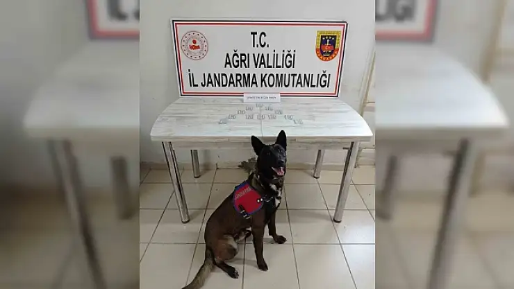 Ağrı'da yolcu otobüsünde uyuşturucu operasyonu: 1 gözaltı