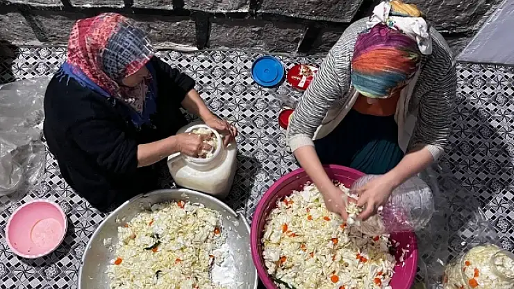 Kış aylarının doğal antibiyotiği: Beyaz lahana turşusu