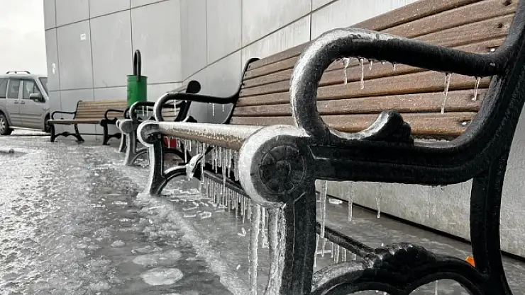 Ağrı'da kar yağışının ardından don etkili oldu