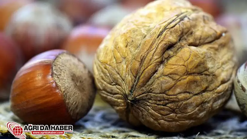 Sert kabuklu yemişlerin Kalın Bağırsak Kanserine Faydası varmı ?