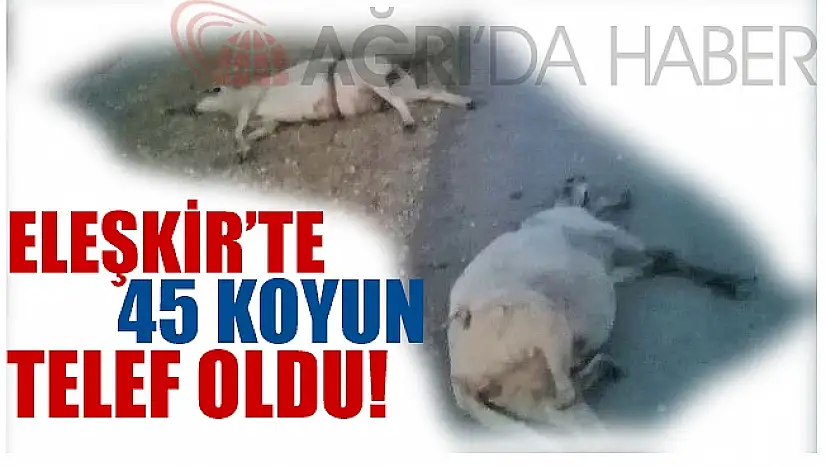 Eleşkirt'te 45 Koyun Telef Oldu!