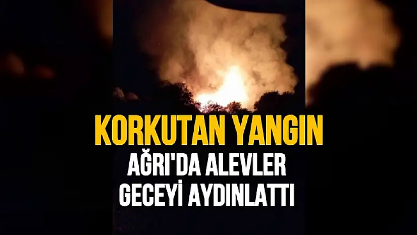 Ağrı'da alevler geceyi aydınlattı