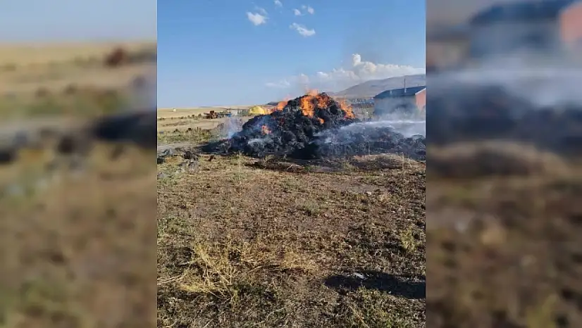 Kars'ta 20 ton ot yanarak kül oldu