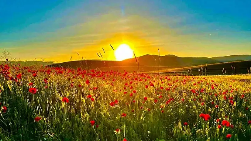 Yeşil ve mavi tonlarını sergileyip cezbeden Patnos Barajı, vatandaşların ilgisini çekiyor