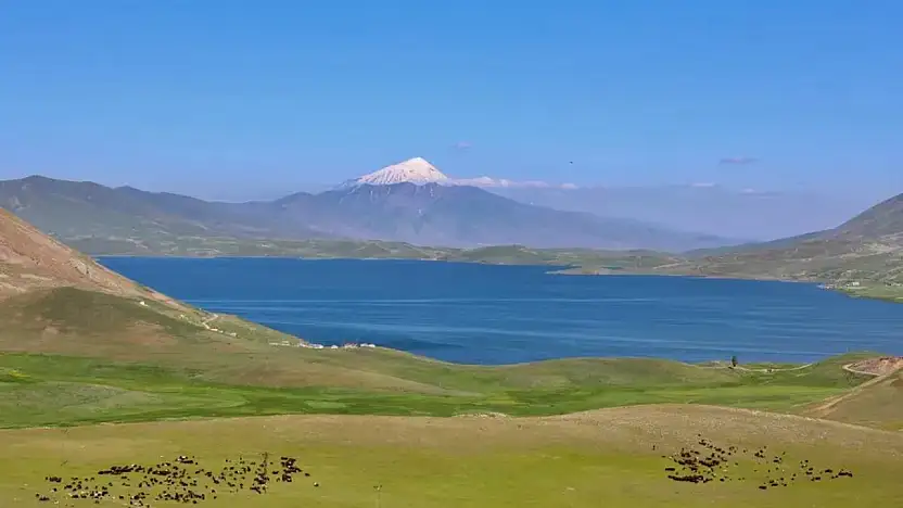 Ağrı Balık Gölü Şenliği'nde Kavga: 2 Yaralı, 1 Kişinin Durumu Ağır